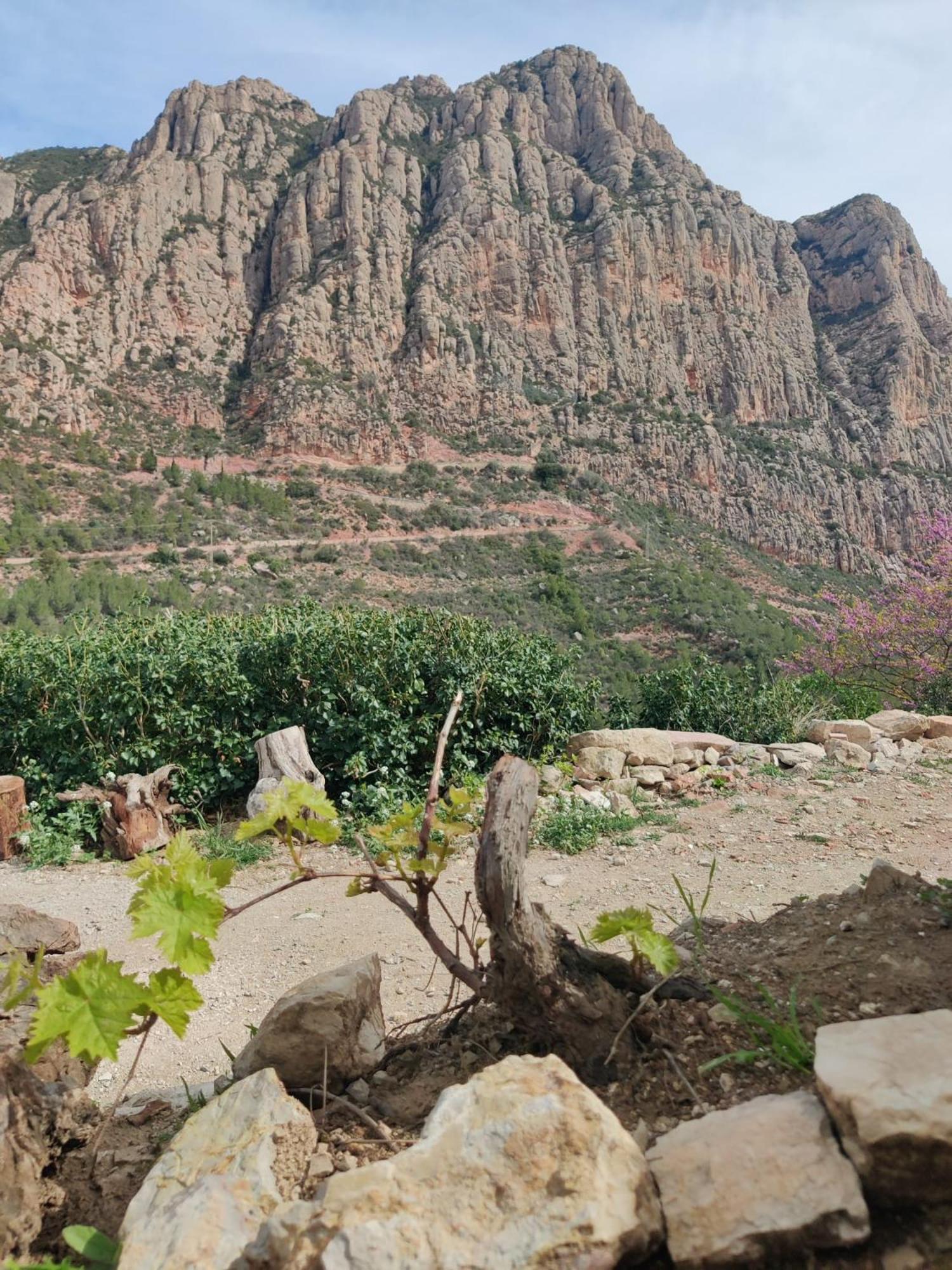 Cal Simon- Casa A Montserrat Collbató Eksteriør bilde